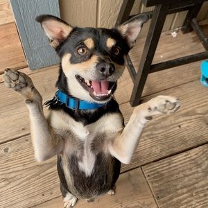 Meet your Posher, Isaac